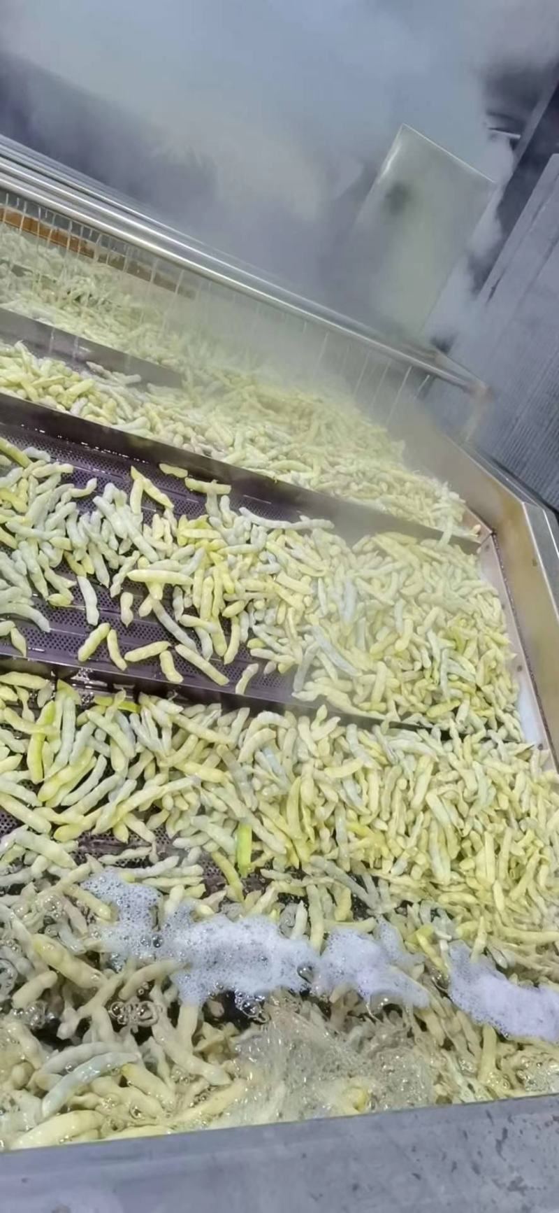 黄豆角油豆角速冻寒地黑土绥化黄豆角20斤一件120元