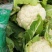 【热卖】湖北菜花结花花椰菜大量上市量大从优欢迎
