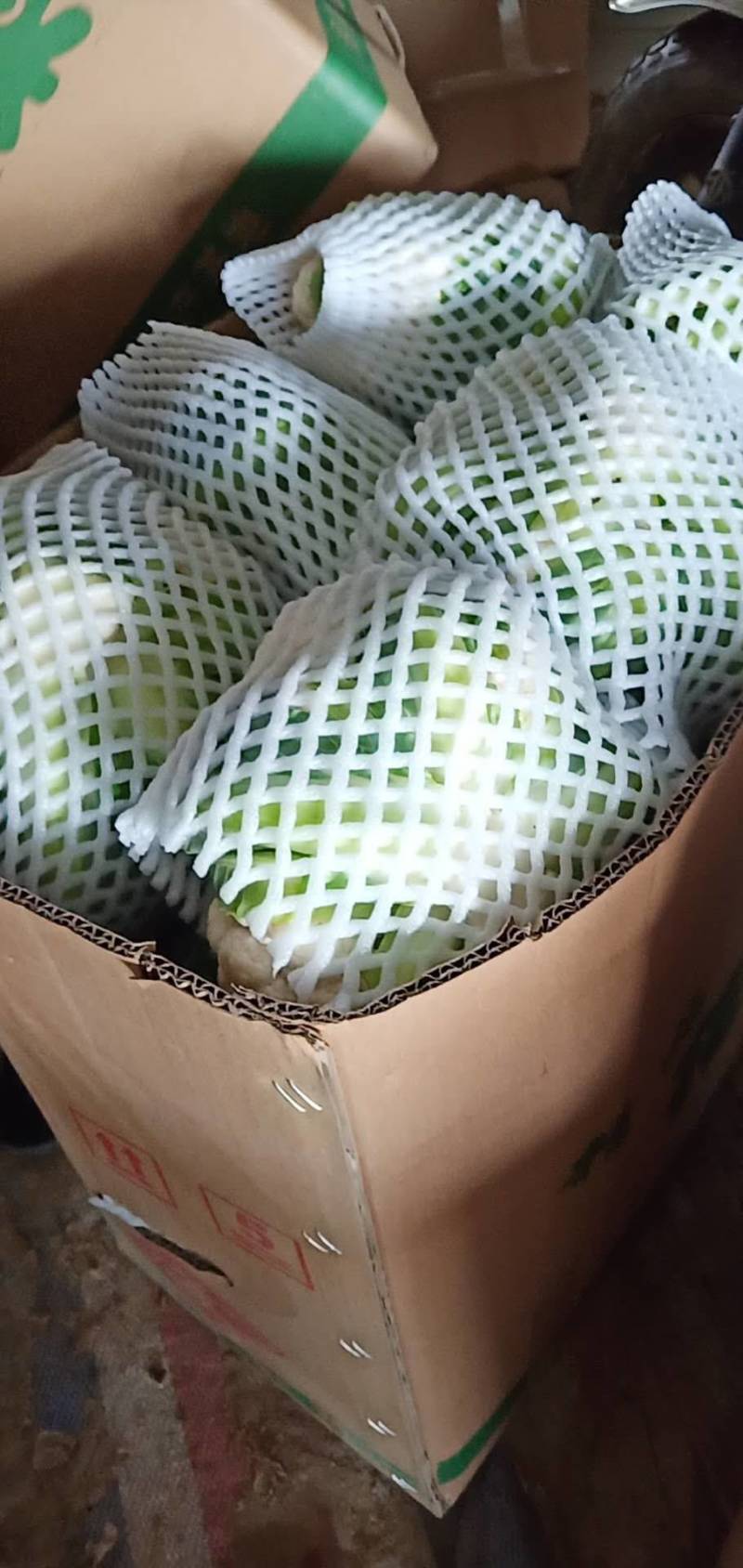 【热卖】湖北菜花结花花椰菜大量上市量大从优欢迎