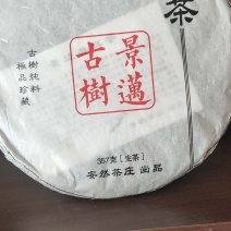 云南正宗地道普洱生茶