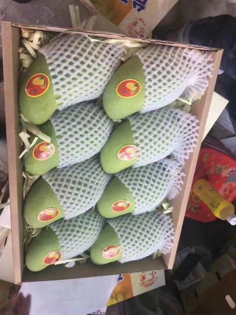 海南三亚金煌芒果新鲜上市（包邮）