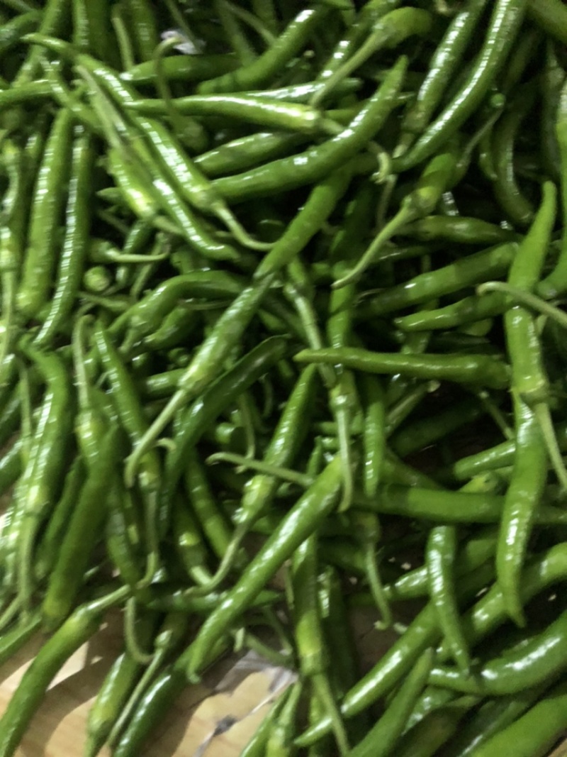 鸡爪椒