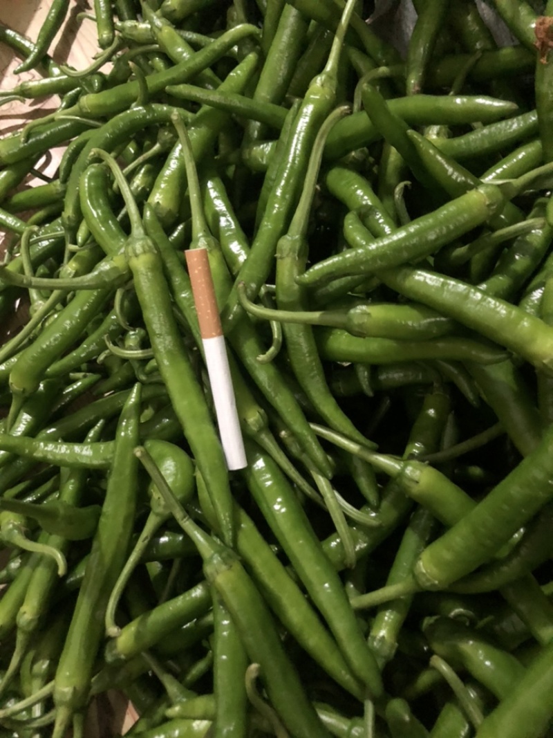 鸡爪椒