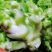四川儿菜新鲜蔬菜欢迎采购