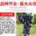 新品种蓝宝石葡萄苗南方北方种植当年结果果树苗无籽提子葡萄