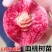 嫁接桃树苗当年结果盆栽特大早晚熟桃苗水蜜桃冬桃地栽南北方
