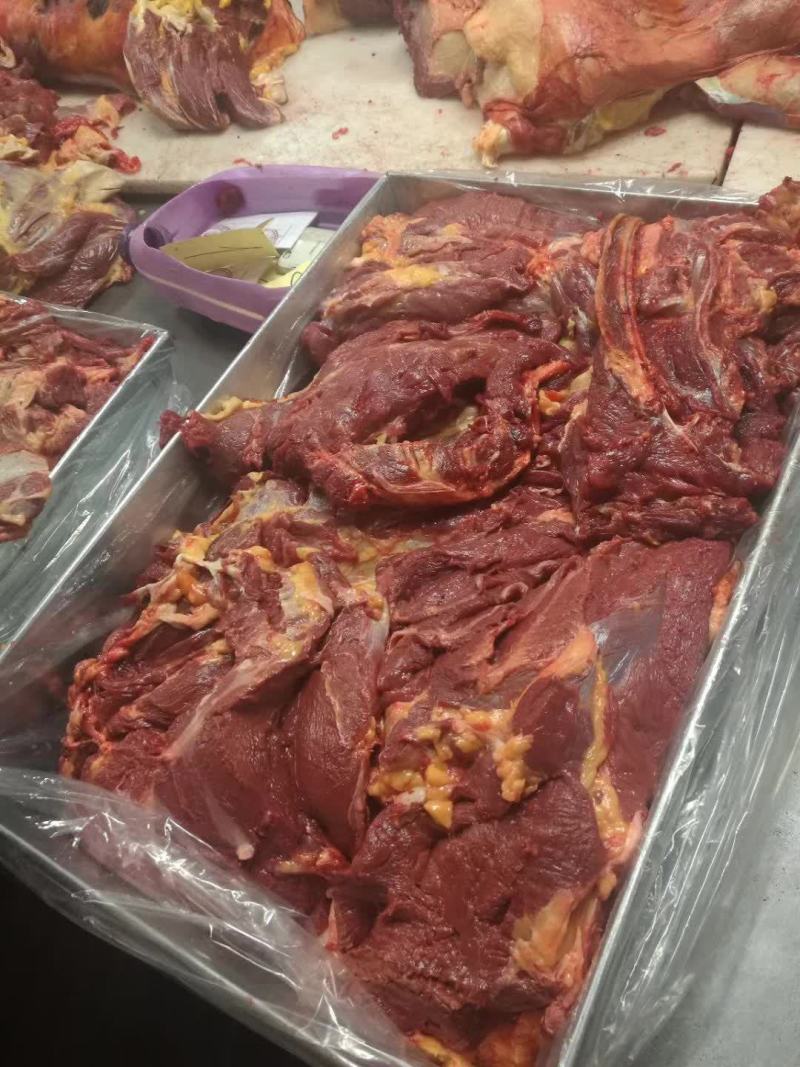 蒙古马肉，保证质量，去油的