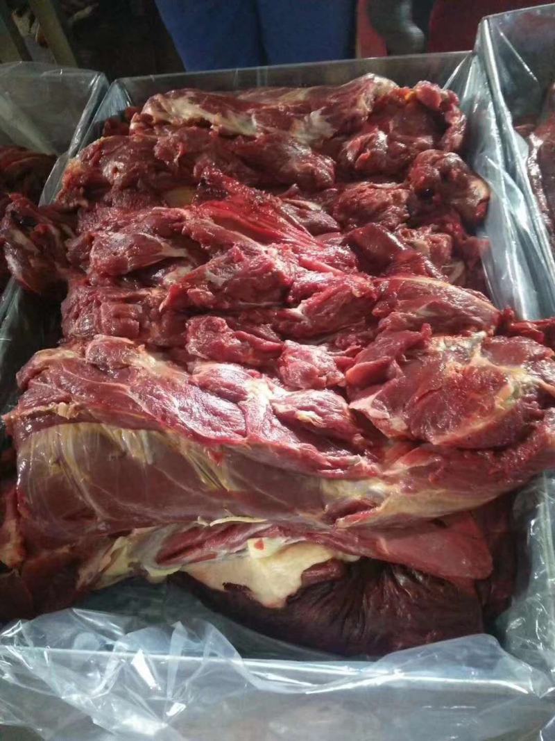蒙古马肉，保证质量，去油的