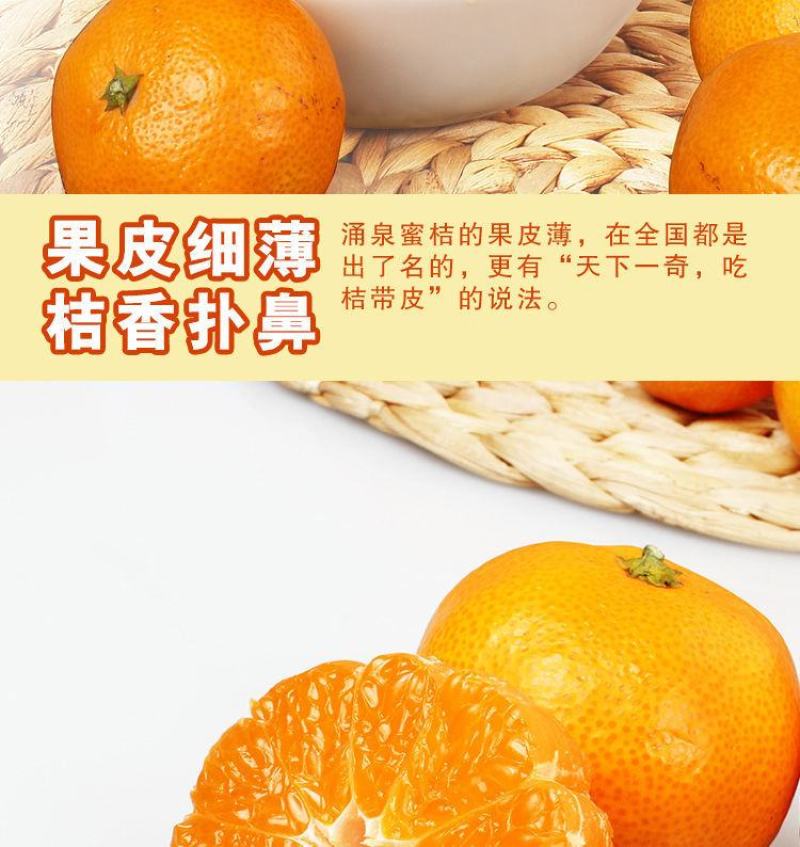 橘子树苗砂糖橘苗桔子苗金桔柑橘子苗盆栽地栽四季果树苗当年