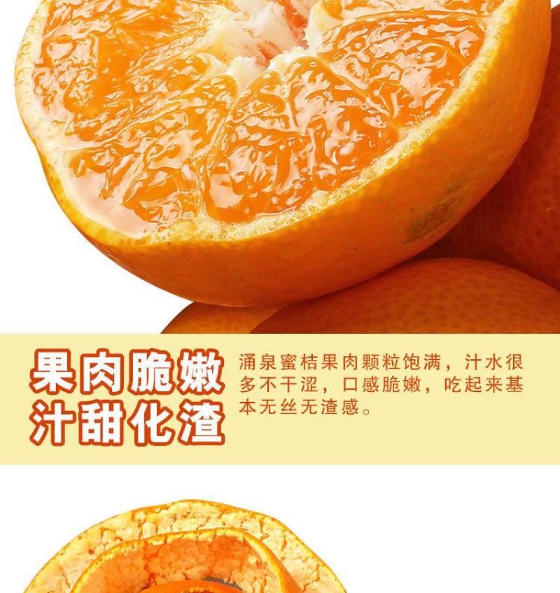 橘子树苗砂糖橘苗桔子苗金桔柑橘子苗盆栽地栽四季果树苗当年