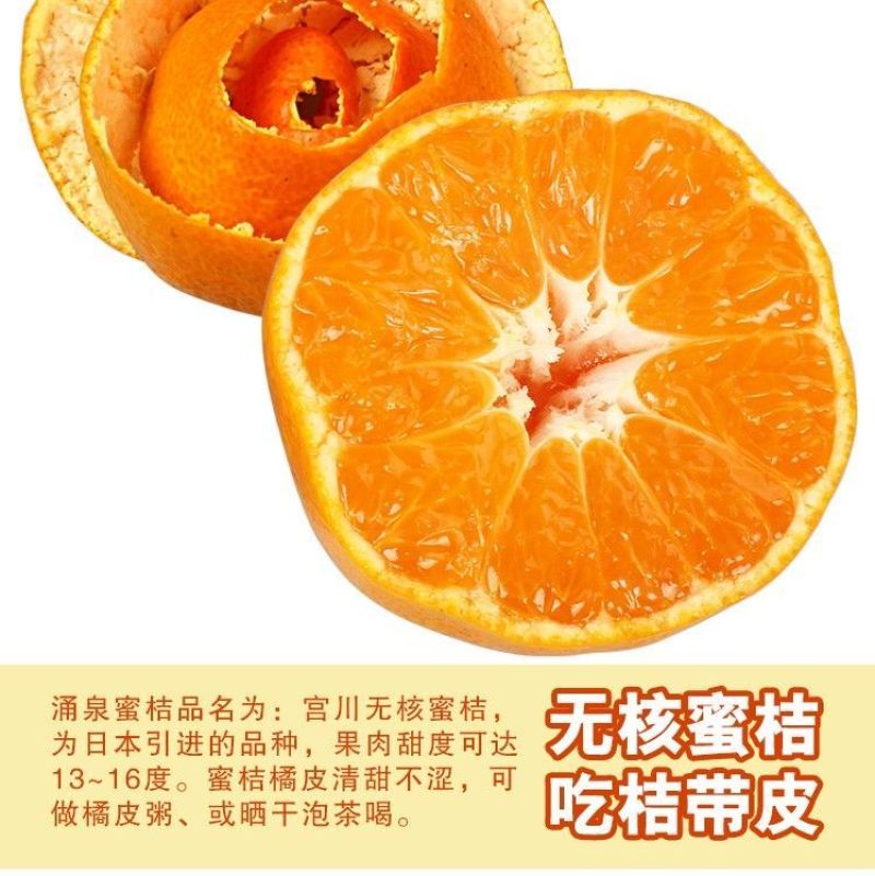 橘子树苗砂糖橘苗桔子苗金桔柑橘子苗盆栽地栽四季果树苗当年