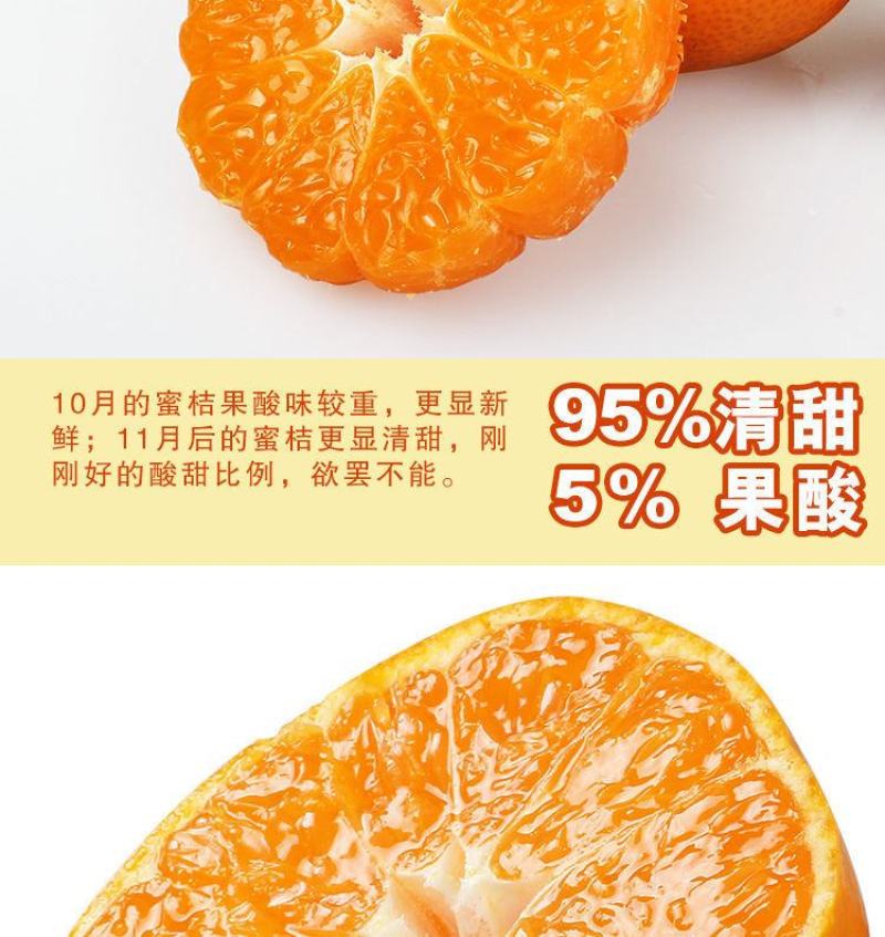 橘子树苗砂糖橘苗桔子苗金桔柑橘子苗盆栽地栽四季果树苗当年