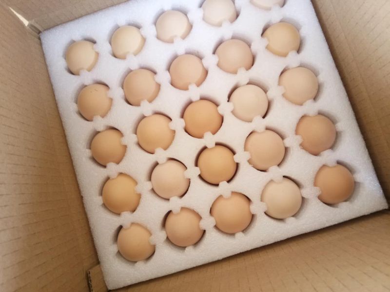 土鸡蛋，保证新鲜破损包赔