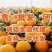 【赣南脐橙】十斤包邮24小时内闪电发货，售后无忧