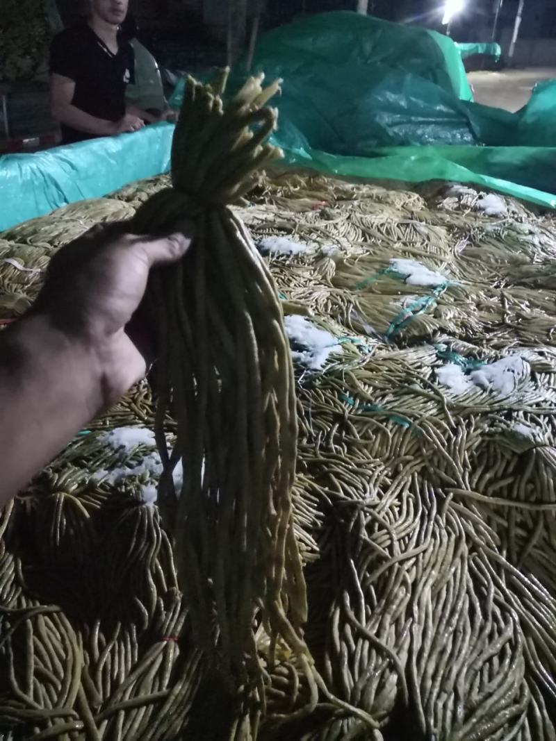 云南高原泡豇豆，酸豆角