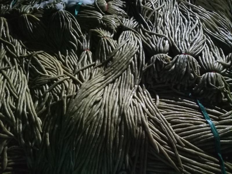 云南高原泡豇豆，酸豆角