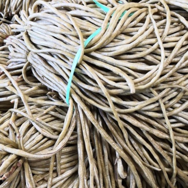 云南高原泡豇豆，酸豆角