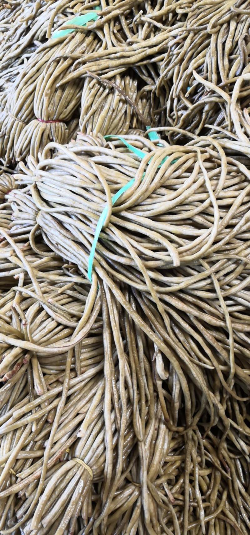 云南高原泡豇豆，酸豆角