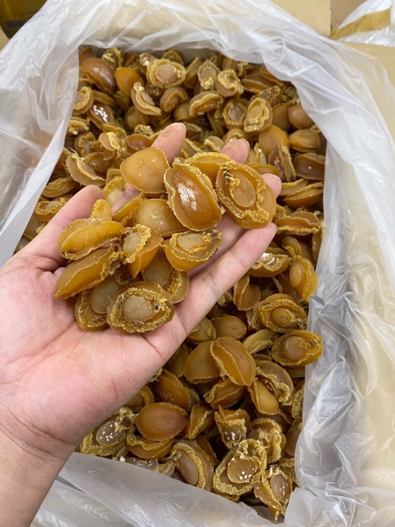 鲍鱼大连鲍鱼A货批发头数齐全一件代发