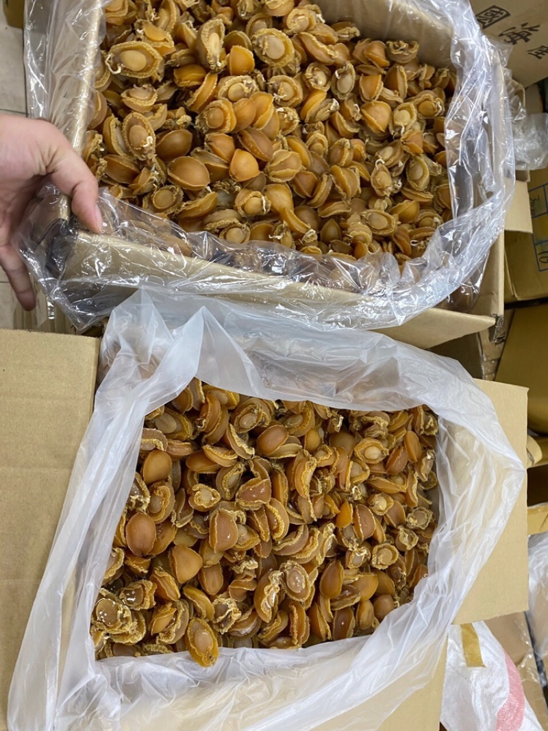 鲍鱼大连鲍鱼A货批发头数齐全一件代发