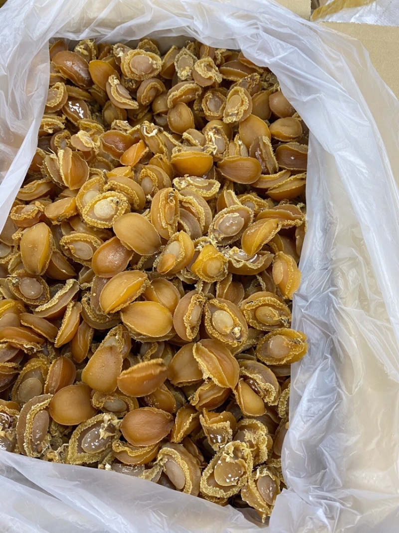 鲍鱼大连鲍鱼A货批发头数齐全一件代发