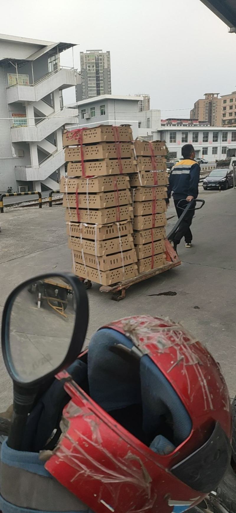 湖南土鸡苗衡阳鸡苗，衡阳土鸡湘黄土鸡改良土鸡苗孵化场直供