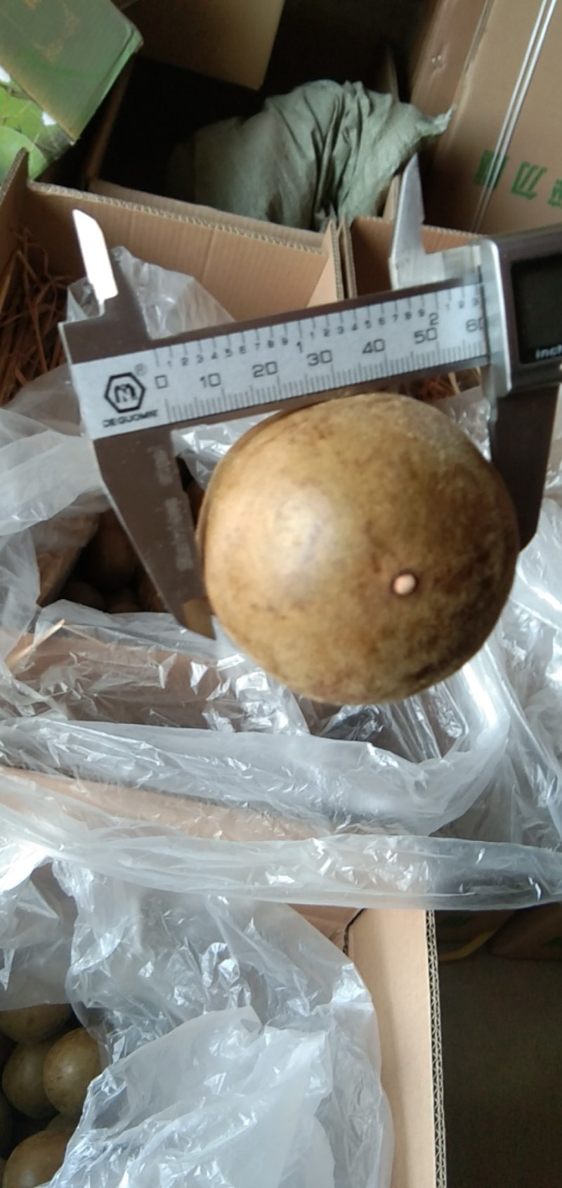 罗汉果，广西罗汉果，大量供应，批发零售，物美价廉