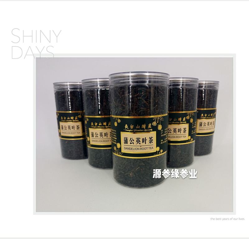 长白山蒲公英茶瓶装包邮
