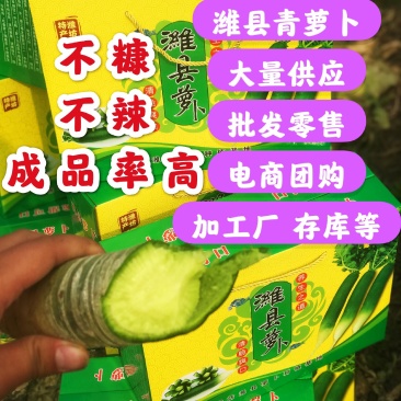 现拔潍县，青萝卜大量供应中欲购从速，产地直销一手货源