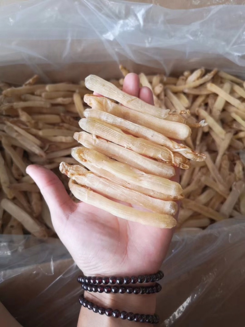 广西本地沙虫足干货(大中小规格)试过就会发现好东西