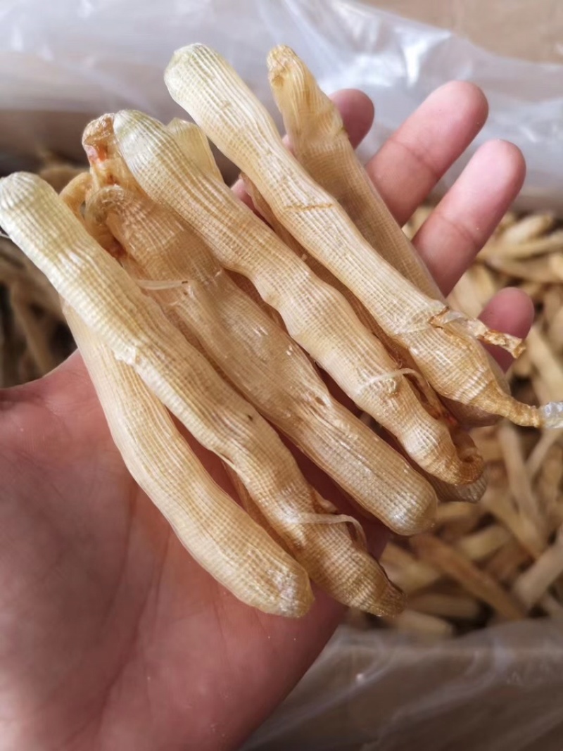 广西本地沙虫足干货(大中小规格)试过就会发现好东西