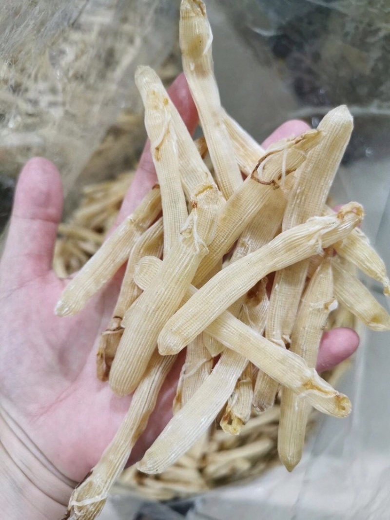 广西本地沙虫足干货(大中小规格)试过就会发现好东西