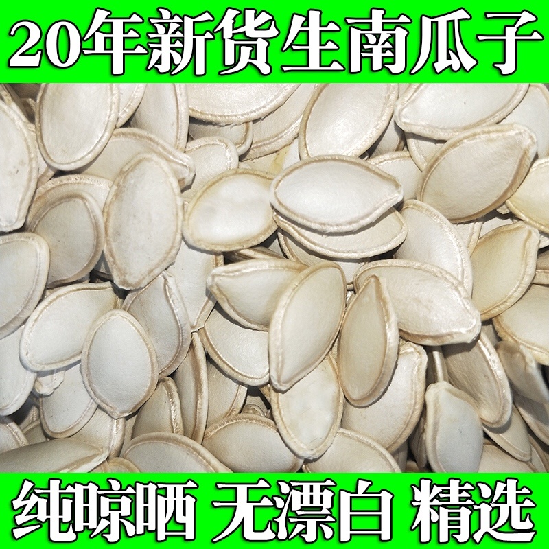 2020内蒙产地精品色选南瓜子量大需要来谈