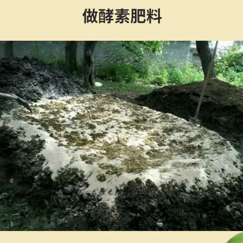 批发新鲜大米糠喂鸡稻糠天然动物饲料稻谷壳粉