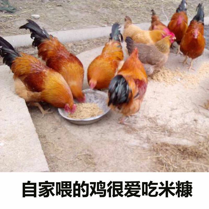 批发新鲜大米糠喂鸡稻糠天然动物饲料稻谷壳粉