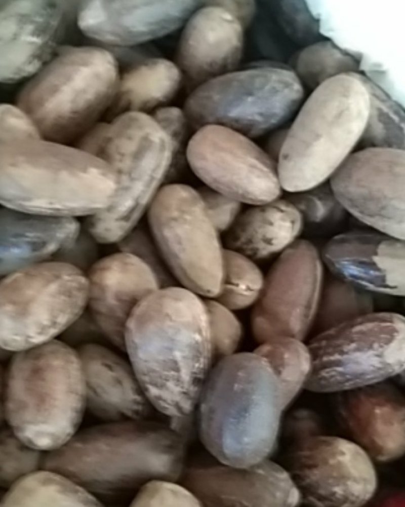 火锅底料长香果，大货供应，批零兼营，保证质量，支持线上