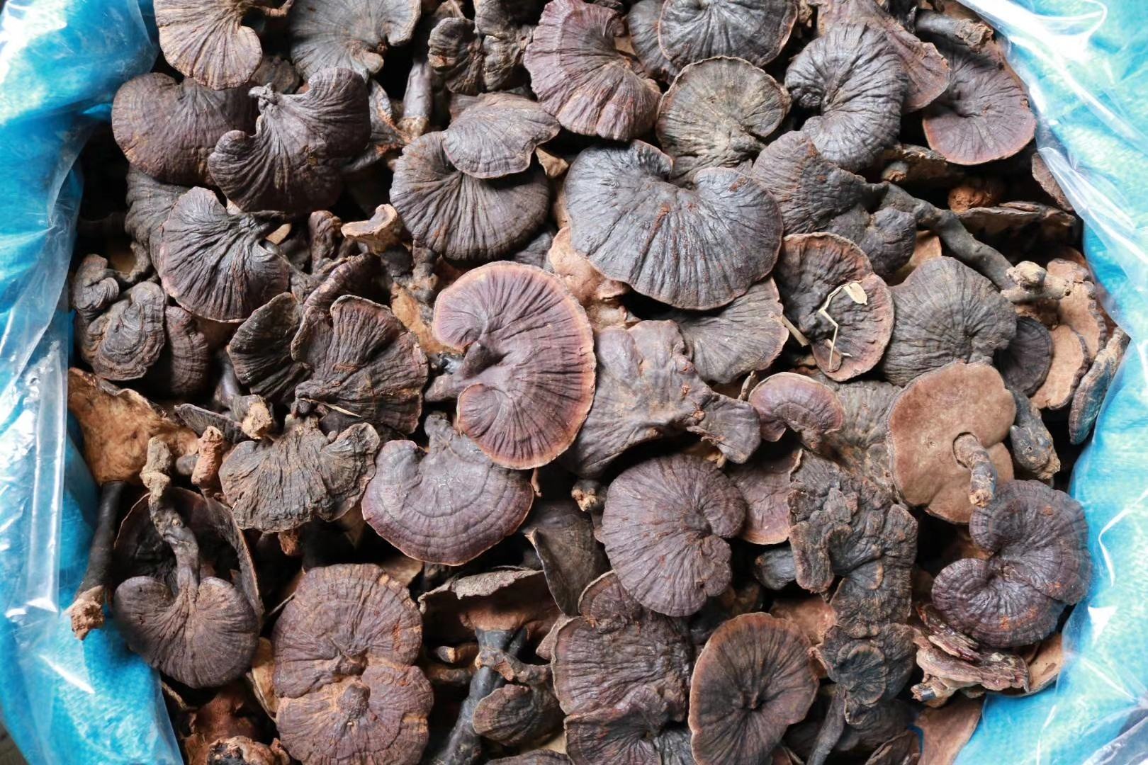 紫晶1号深加工产品矩阵：左侧玻璃瓶装冻干紫皮洋葱粒（金棕色颗粒，标签含花青素含量标示），中为小袋装洋葱酵素饮（琥珀色液体），右侧为食品级紫色天然色素粉末样品（置于白色瓷勺中）