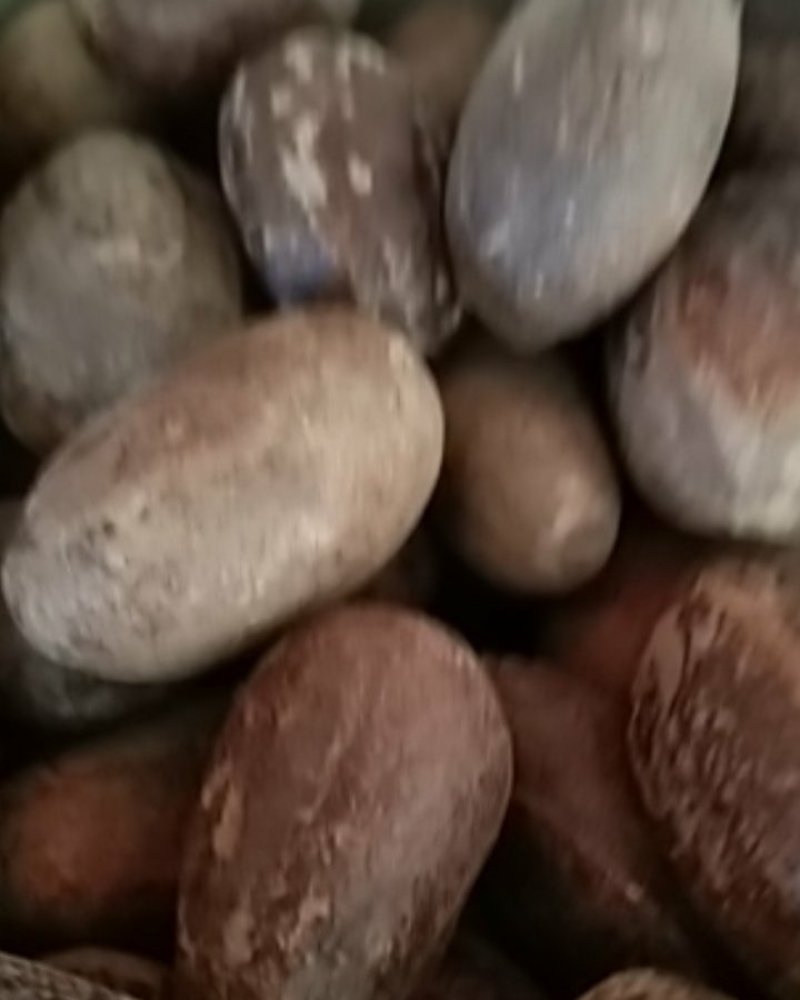 火锅底料长香果，大货供应，批零兼营，保证质量，支持线上