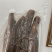 黄心板栗木薯