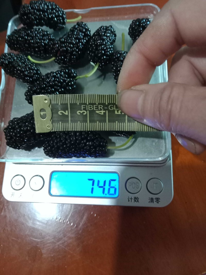 果桑苗无籽大十嫁接苗（汁多口感好甜度高）包对版包技术