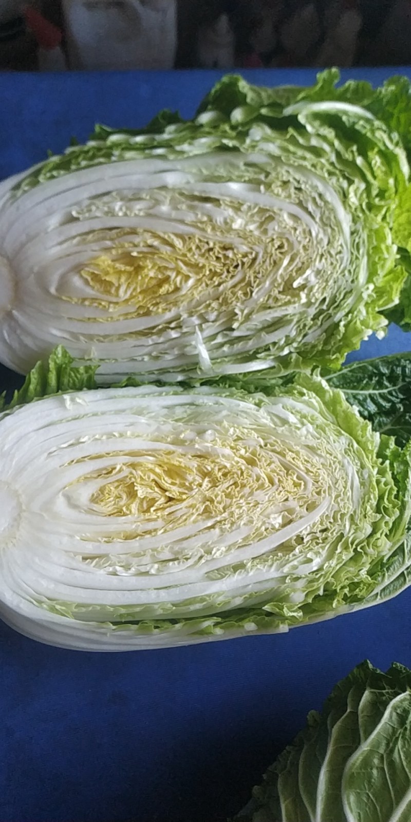 售、售、售，基地直供一百亩大白菜。价格美丽，欢迎选购。