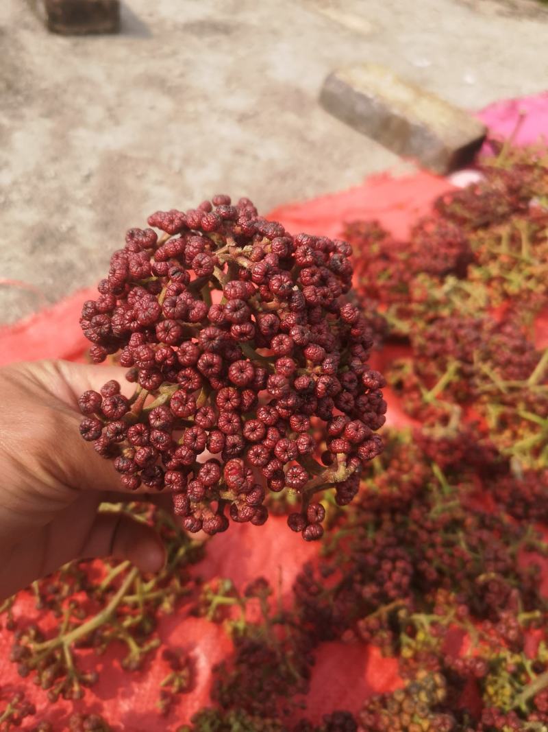 吴茱萸干货，名贵中药材