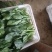 河北邯郸精品菠菜叶厚颜色好看口感好