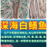 深海白鳝鱼跑江湖展会地摊深海白鳝鱼长嘴鱼鱼干干鱼