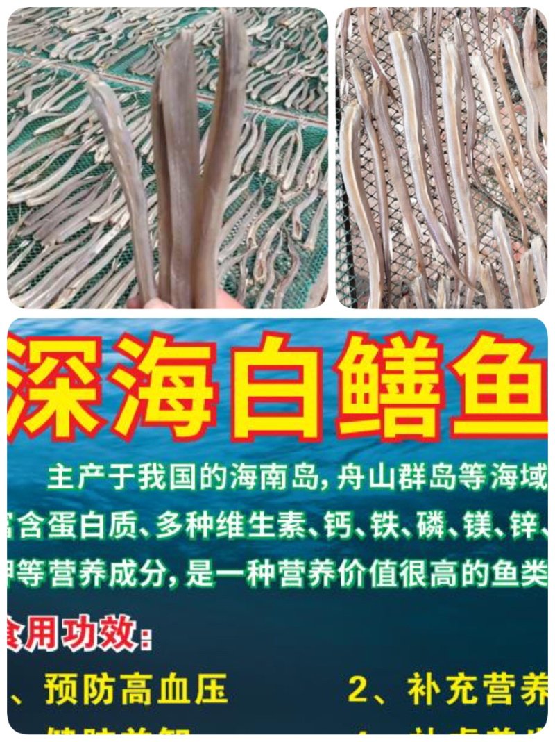 深海白鳝鱼跑江湖展会地摊深海白鳝鱼长嘴鱼鱼干干鱼