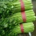 河北邯郸精品芹菜精品质量匀颗代购代销各种蔬菜