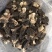 羊肚菌云南林下黑肉羊肚菌