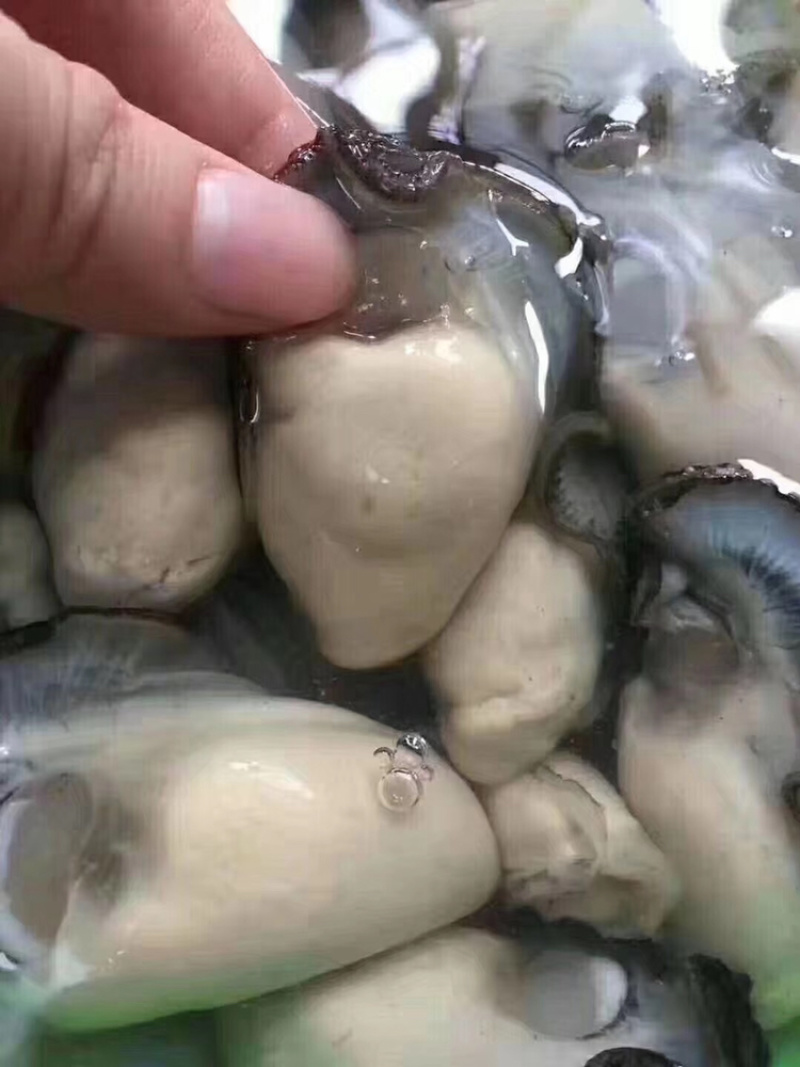 生蚝肉鲜活现剥新鲜蚝仔肉牡蛎肉蚝仔煎海蛎子肉汫洲直供