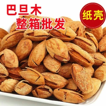 批发【巴旦木NP果~龙果】壳巴旦木都有香脆可口薄皮整箱批