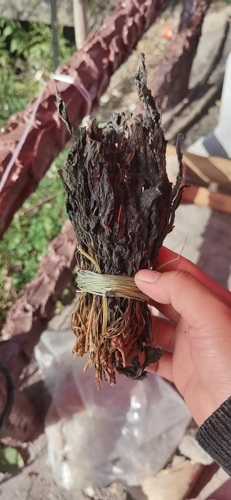 苦斋婆，苦斋菜，苦菜，野菜，瑶山天然野菜，